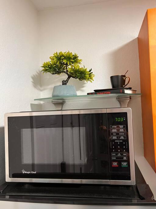 Casita Cafe Villa Miami Dış mekan fotoğraf